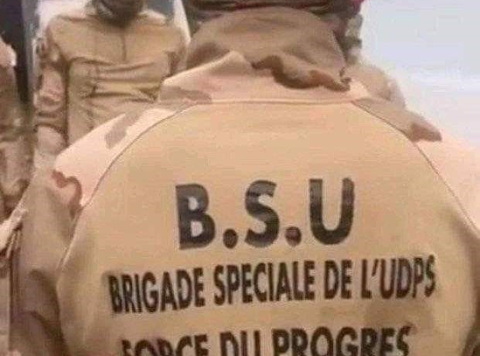 Impossible d’être, à la fois, Tshisekediste et pro-Force du Progrès !
